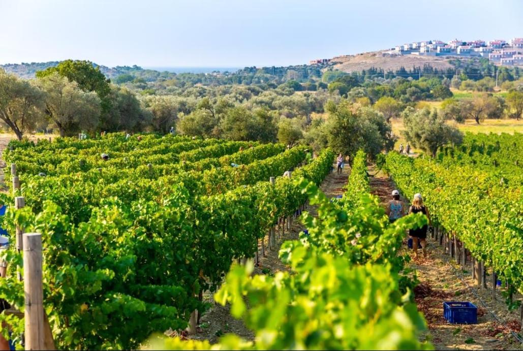 Datca Vineyard Guesthouse Eksteriør bilde