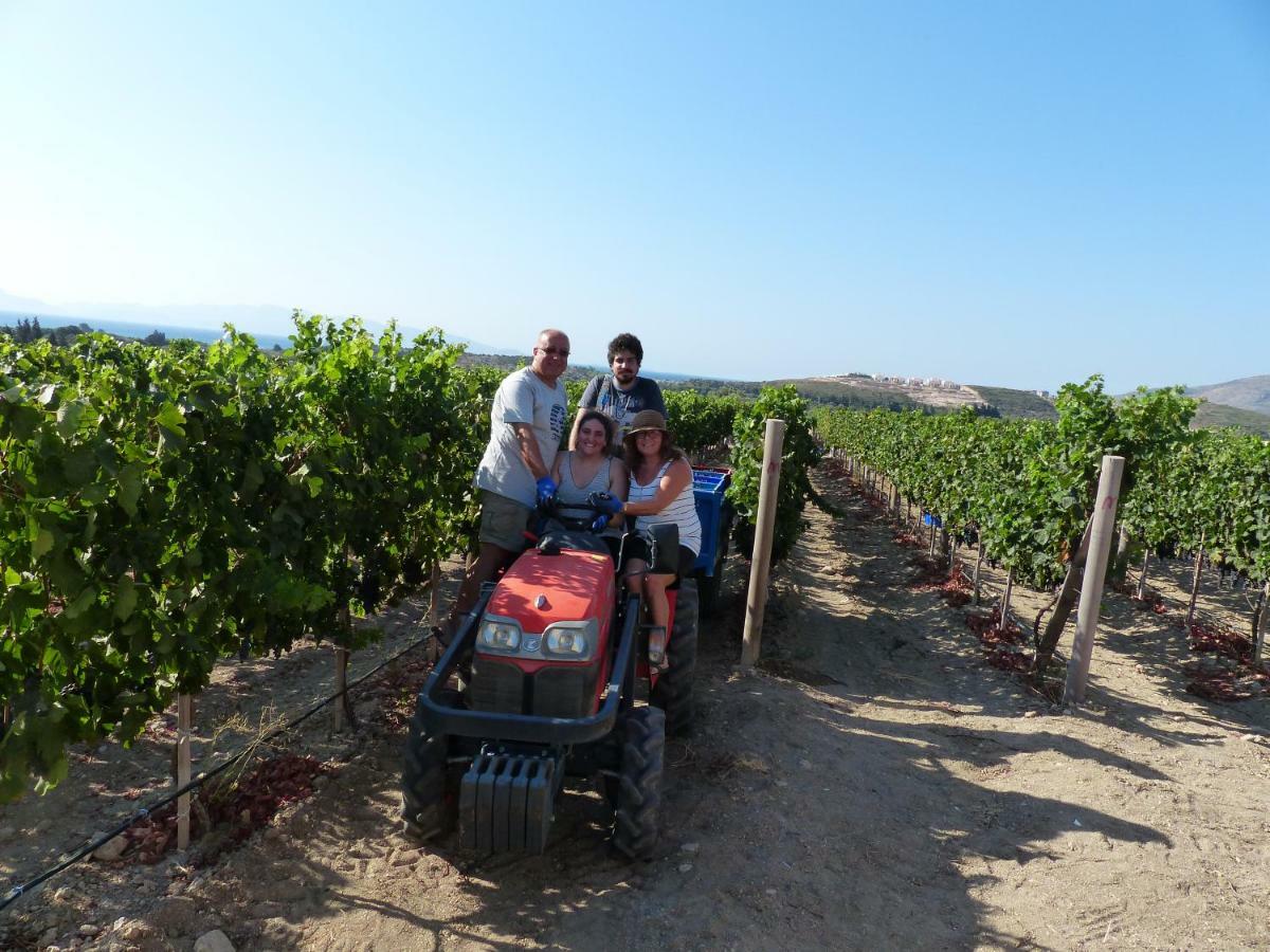 Datca Vineyard Guesthouse Eksteriør bilde